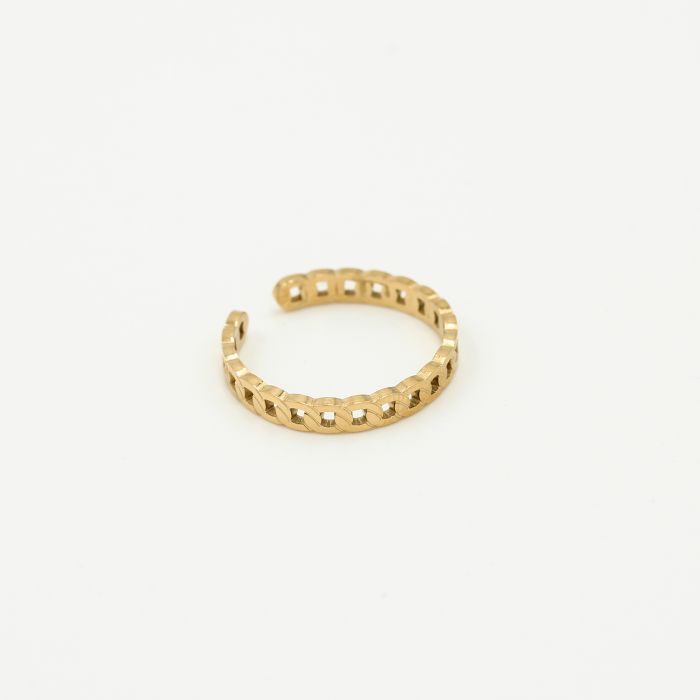 ''FIJNE SCHAKELS"' GOUDEN RING