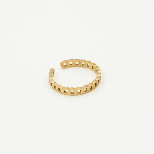 ''FIJNE SCHAKELS"' GOUDEN RING